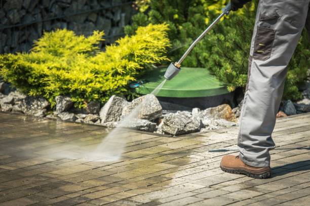 Best Factory Floor Cleaning  in Meadow Woods, FL