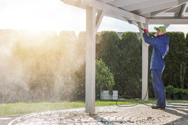 Best Restaurant Pressure Washing  in Meadow Woods, FL