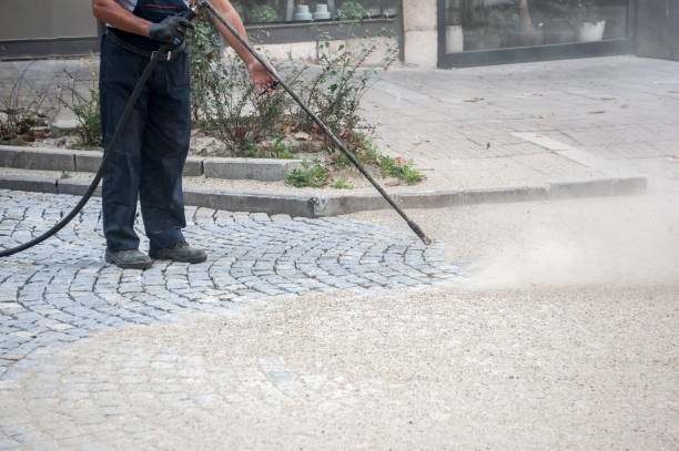 Best Warehouse Cleaning  in Meadow Woods, FL