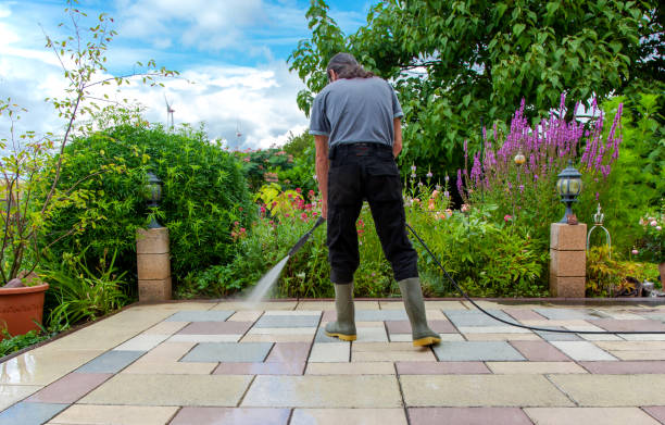 Best Pool Deck Cleaning  in Meadow Woods, FL