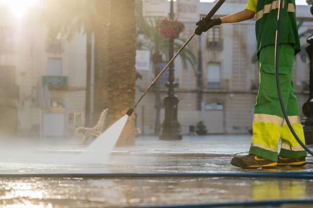 Best Gutter Cleaning  in Meadow Woods, FL